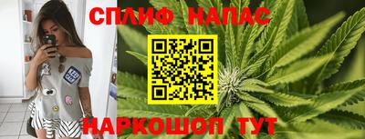 mdpv Малоярославец