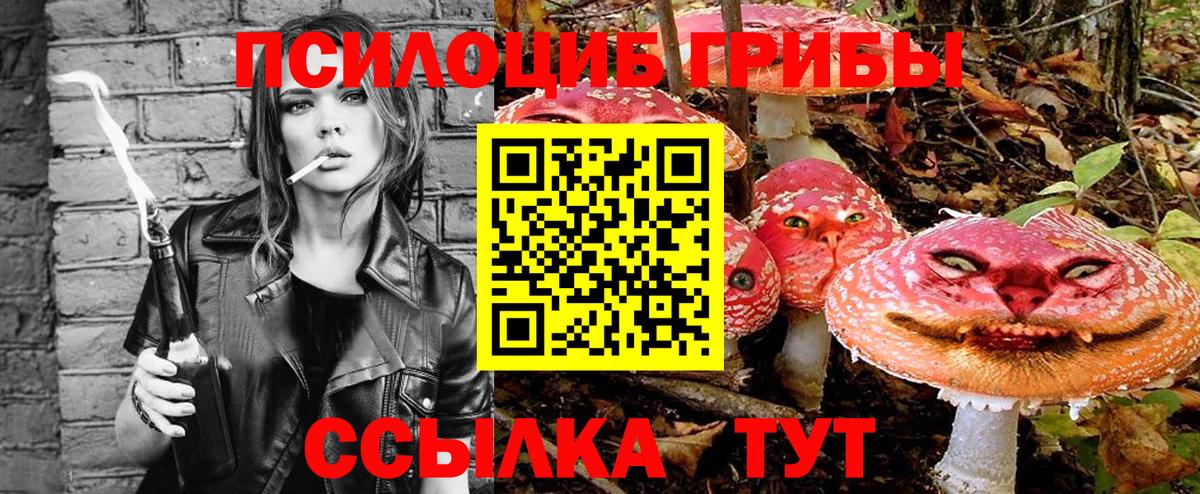 Псилоцибиновые грибы прущие грибы Выборг