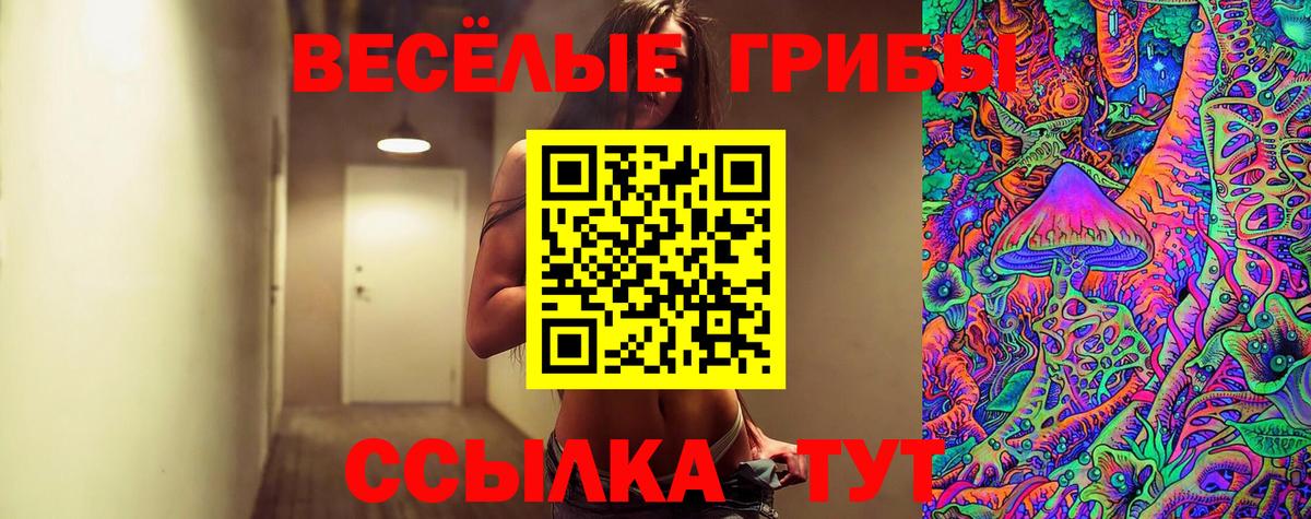 Псилоцибиновые грибы мицелий  Псилоцибиновые грибы прущие грибы  Выборг  Вход с VPN 